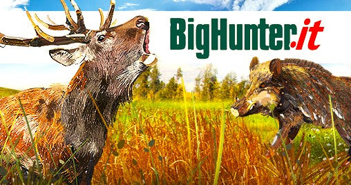 BigHunter chiude: le notizie e migliori alternative 2025