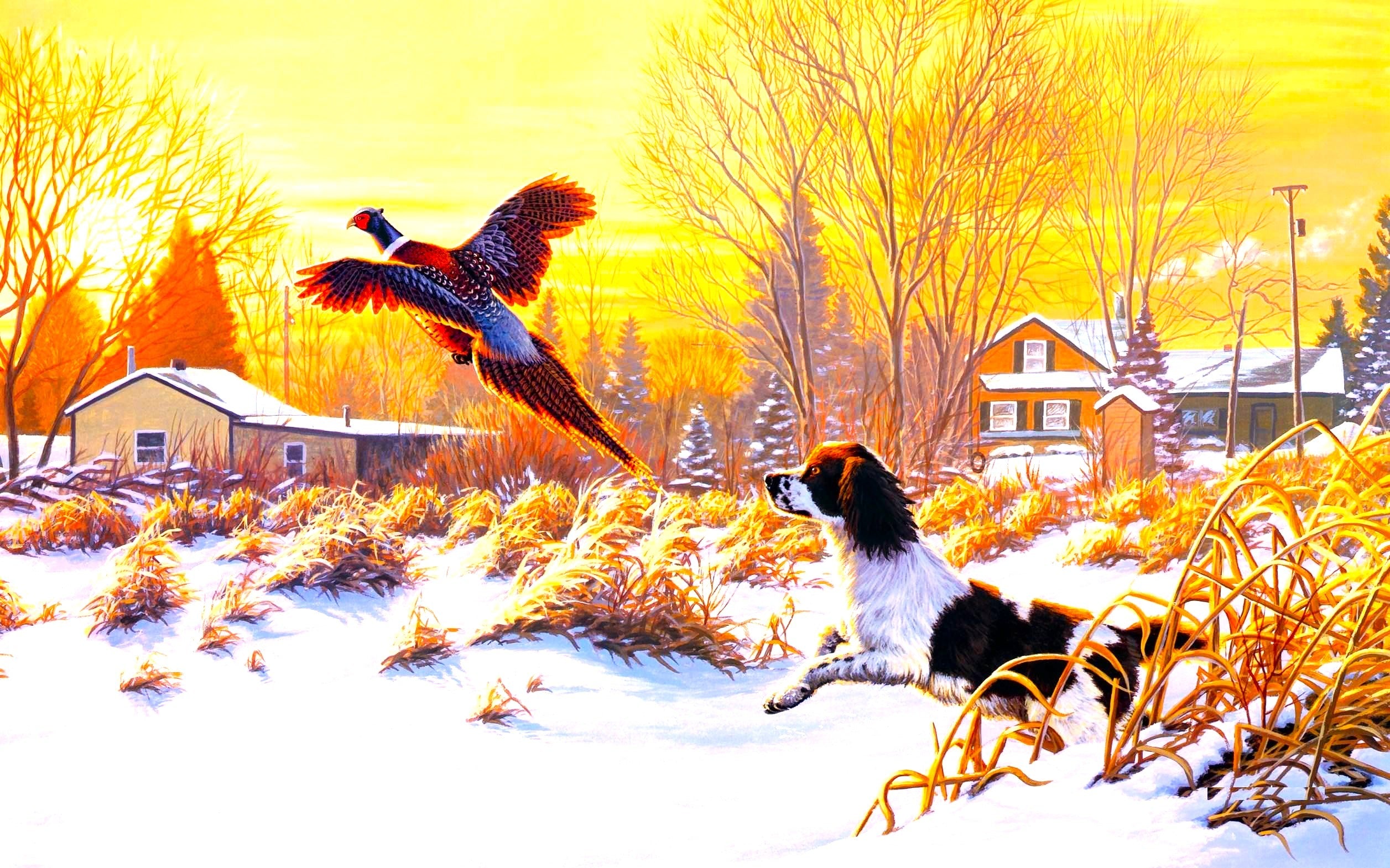 3A Augusto Abbigliamento: L’Eccellenza dell’Abbigliamento