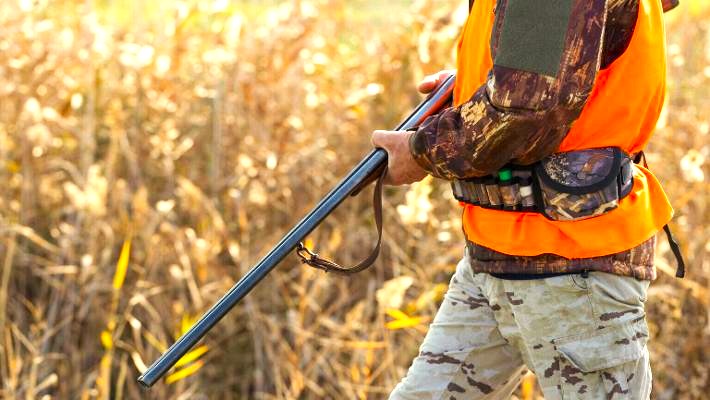 Calendario Venatorio 2025/2026 Piemonte: Guida Completa ai Periodi e Regole di Caccia