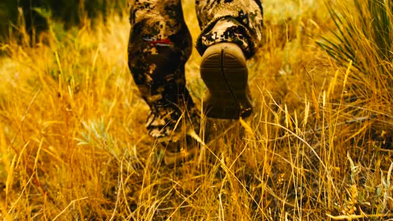 Riforma legge caccia: ancora nessuna discussione in Consiglio dei Ministri, slitta l'approvazione promessa da Lollobrigida