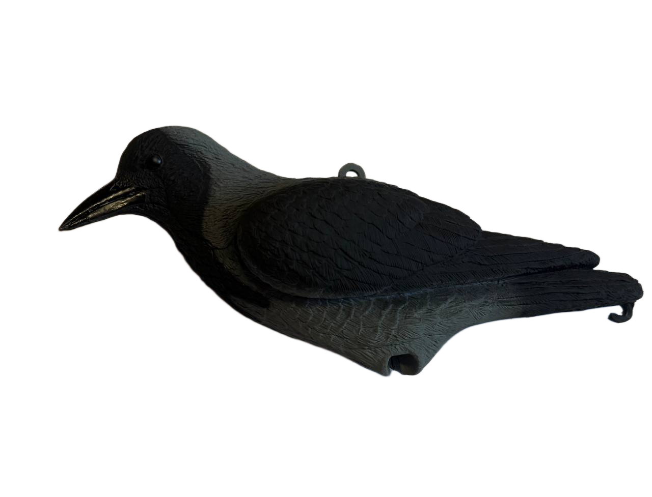 Stampo Cornacchia Posata Con Gambe